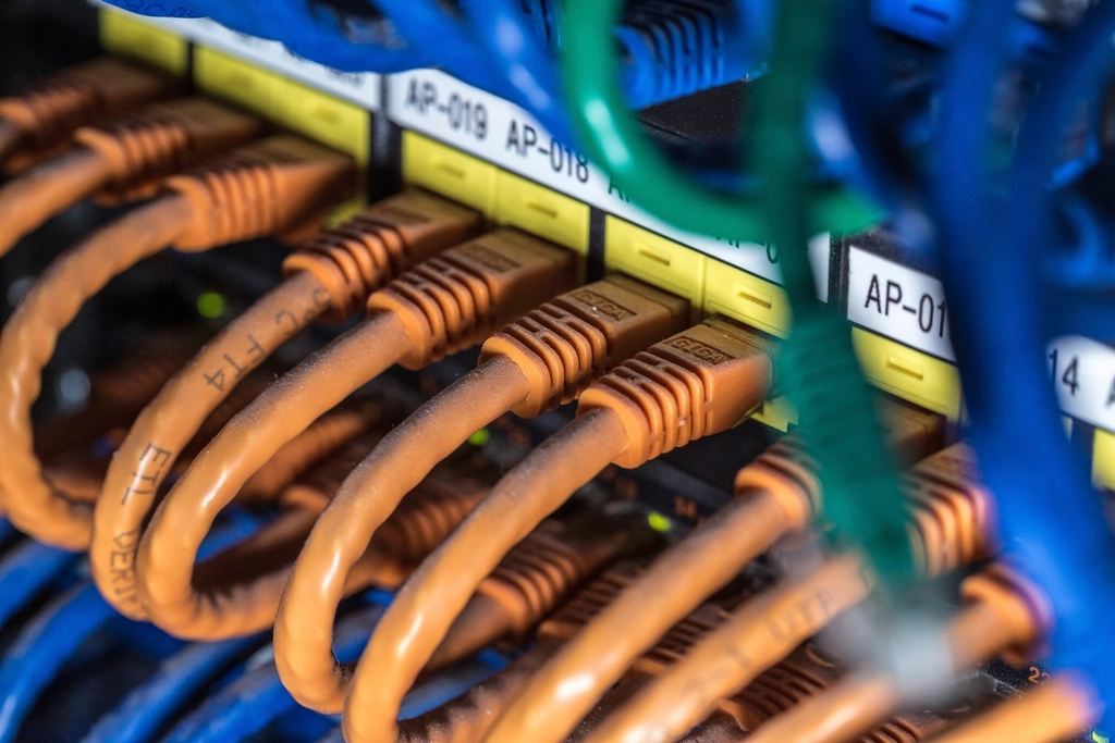 Network cables plugged into a switch