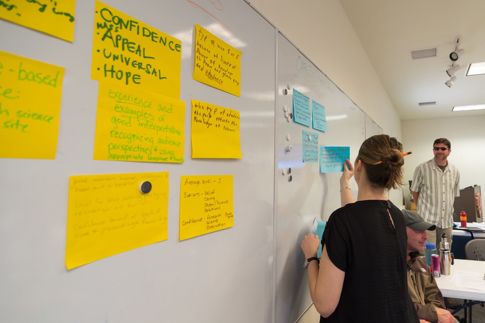 Coloured sticky notes on a whiteboard during a workshop