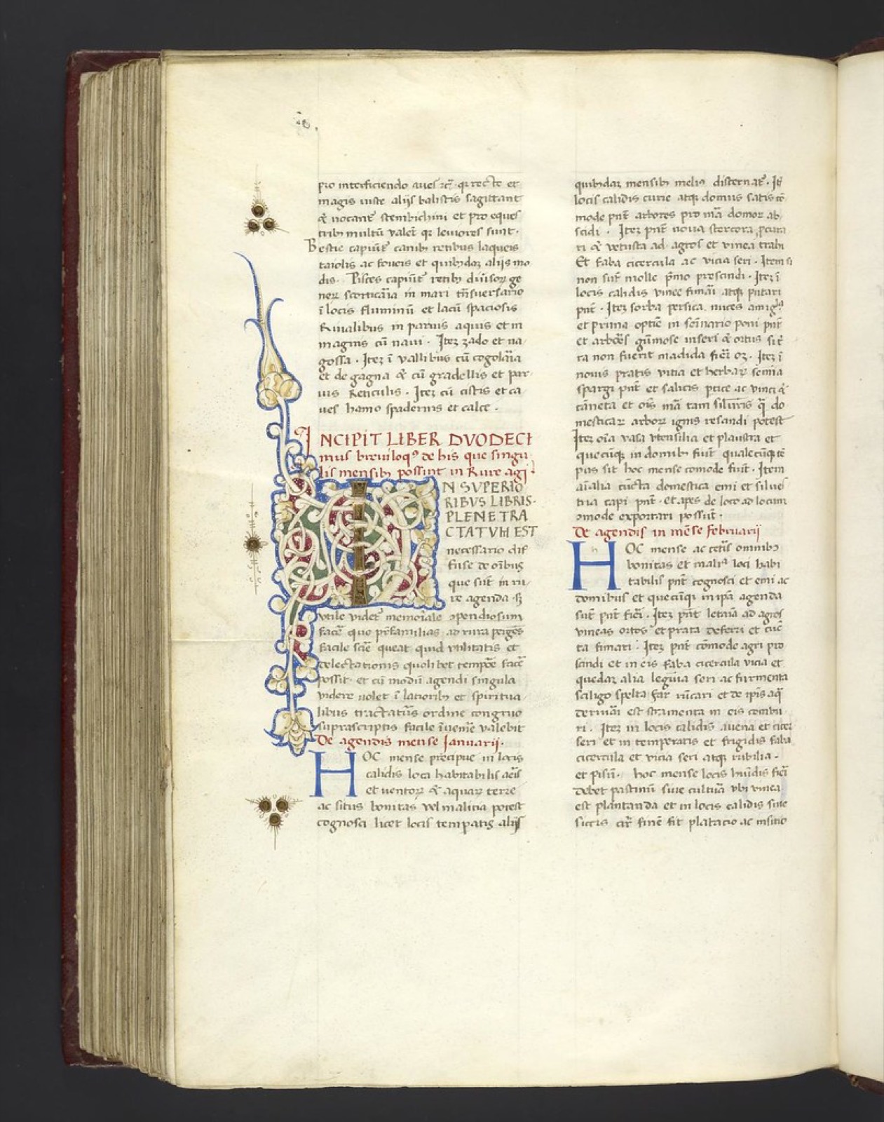 An illuminated manuscript page with decorative lettering