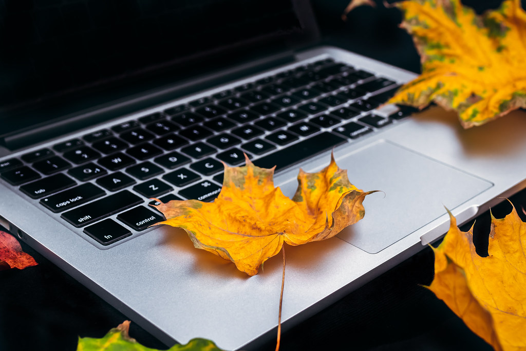 A blog and shop on a laptop