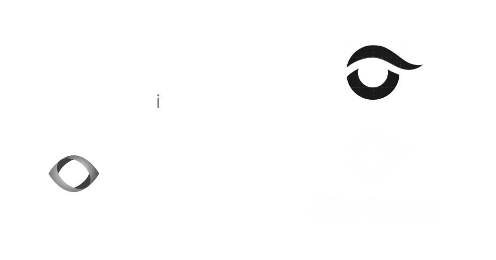 iCetana brand before the refresh