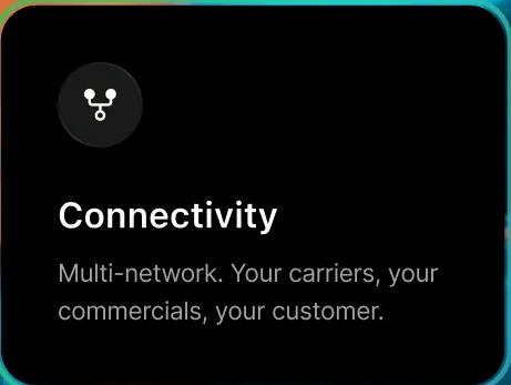 MVNO.dev capability: Connectivity, multi-network across your carriers
